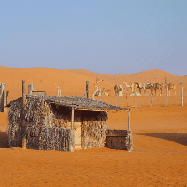 WAHIBA SANDS - THE DESERT AWAITS