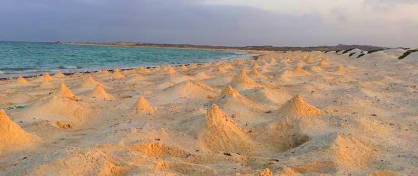 MASIRAH ISLANDS